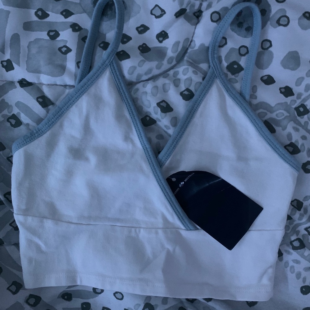 NWT Brandy Melville Amara Top!